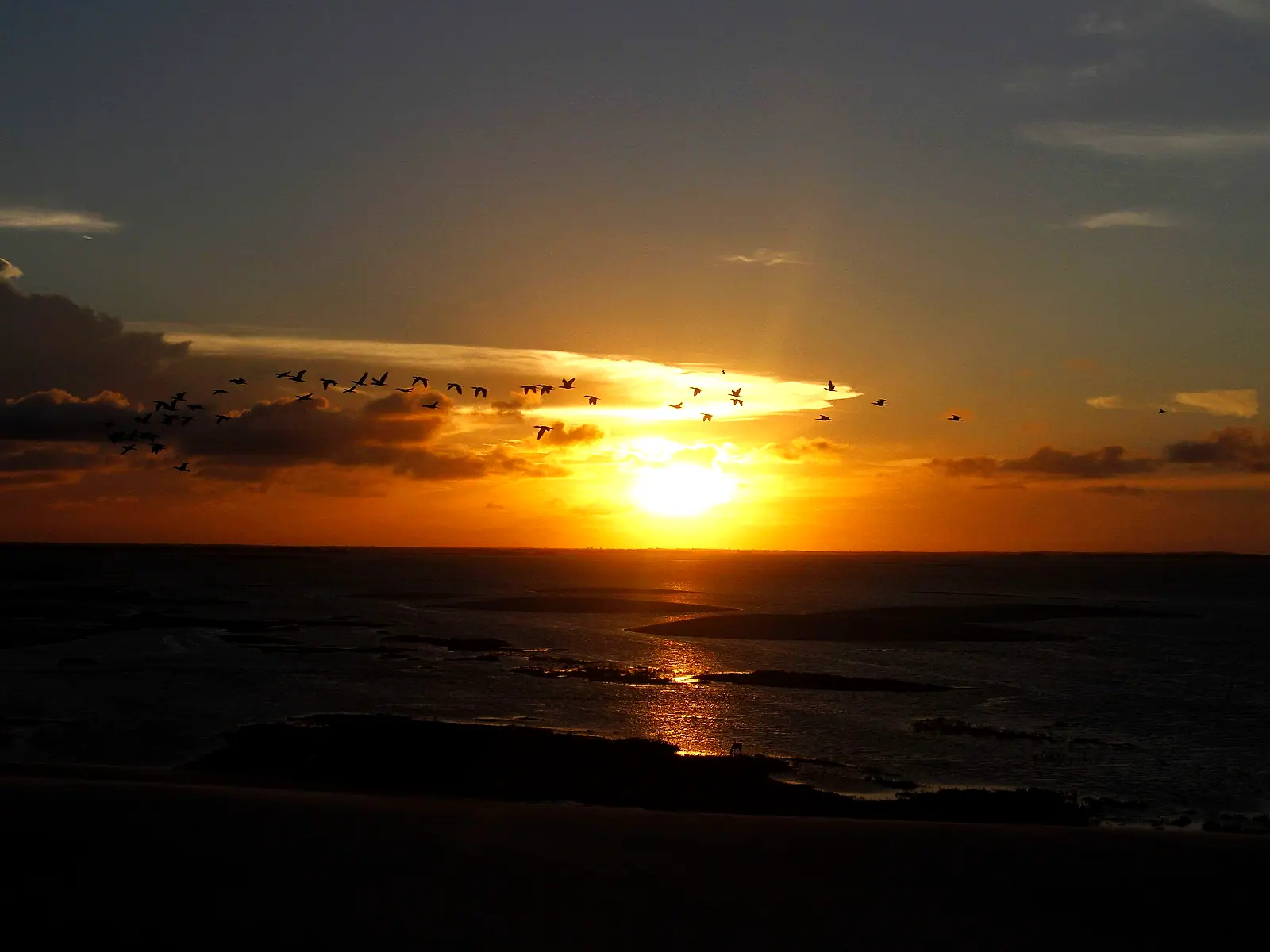 Pôr do sol alaranjado sobre as lagoas de Santo Amaro, com aves voando